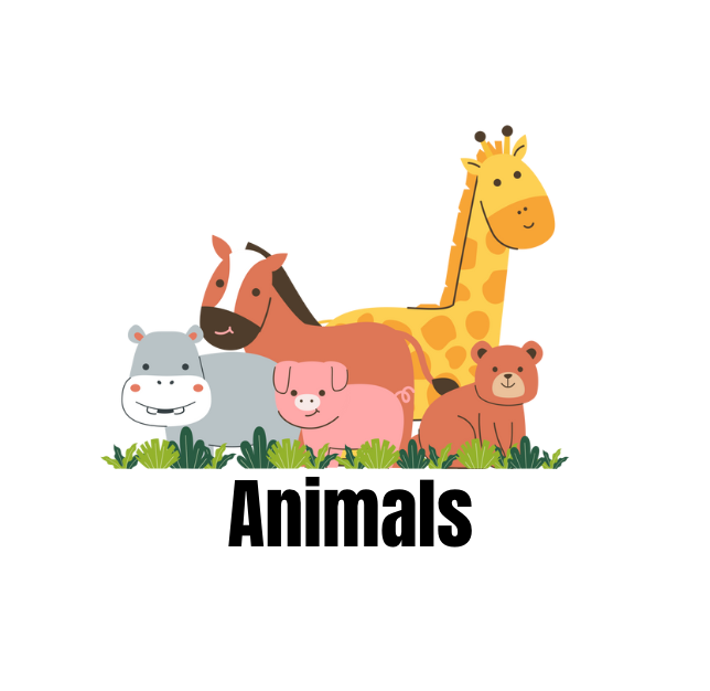 Animals