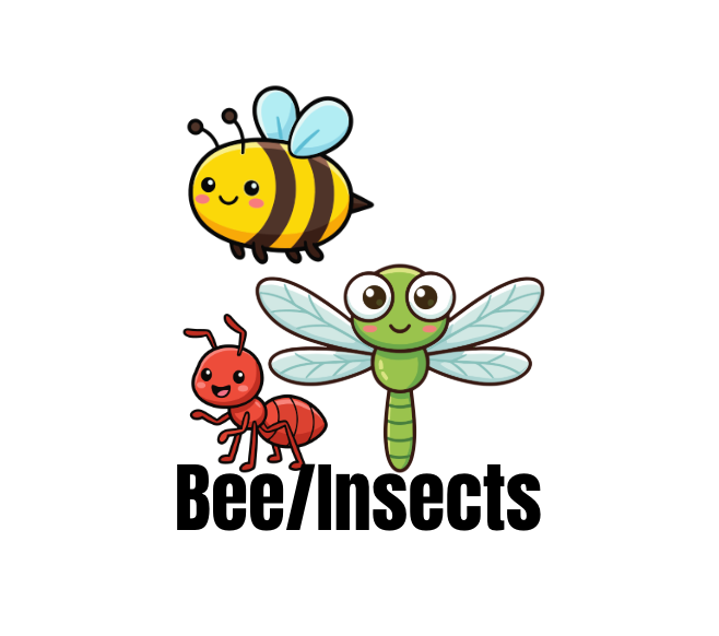 Bee/Insects