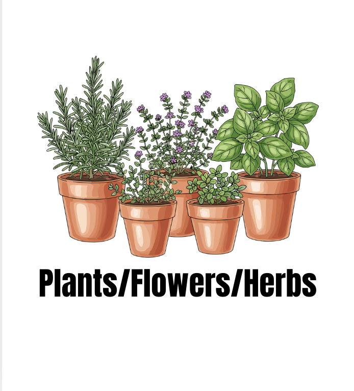 Plants/Flowers/Herbs