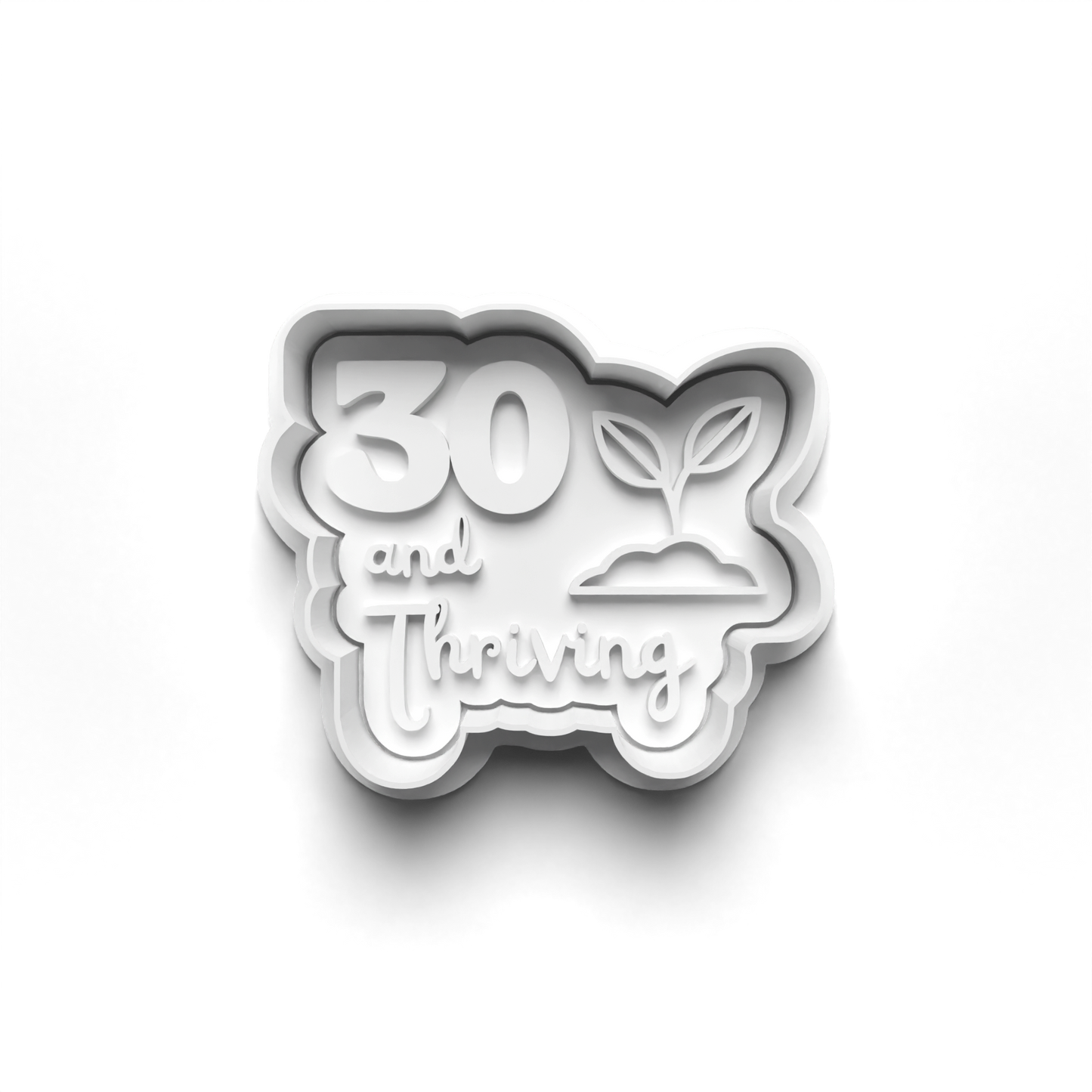 BIRTHDAY & MILESTONE cutter and stamps 2" baking, arts and crafts Bakeware Set