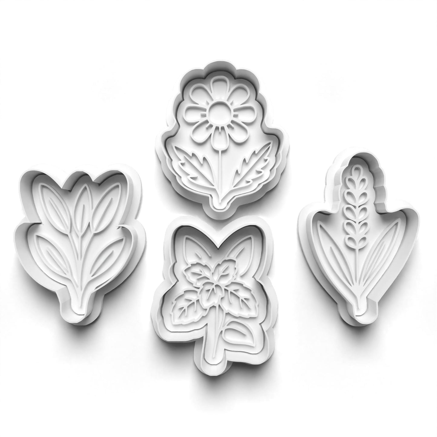 Herbs 2"